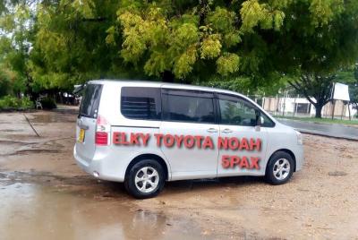 Elkydianibeachtaxis  Elkydianibeachtaxis