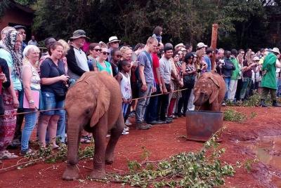 Giraffe Center, Elephant Orphanage, Karen Blixen, and Bomas of Ke