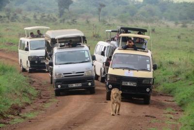 Nairobi National Park, Elephant Orphanage, Giraffe Centre &Karen  Nairobi National Park, Elephant Orphanage, Giraffe Centre &Karen