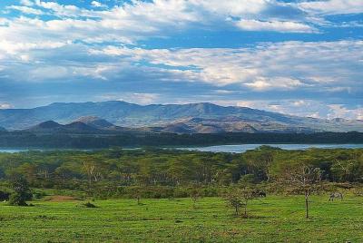 Private Layover Tour to Hells Gate National park with Optional Bo