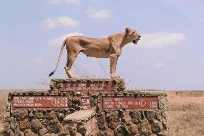 Day Tour in Nairobi Inclusive of Fees with Hotel Pickup Day Tour in Nairobi Inclusive of Fees with Hotel Pickup