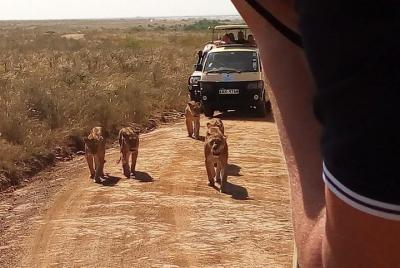 Half day Nairobi national park tours Half day Nairobi national park tours