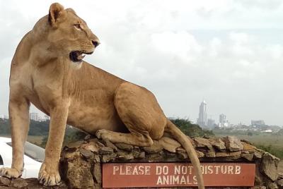  Nairobi full day excursion