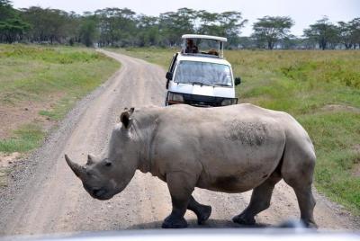 Nairobi National Park, Giraffe center & Kazuri beads factory Guid
