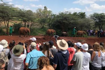 David Sheldrick Elephant Orphanage David Sheldrick Elephant Orphanage