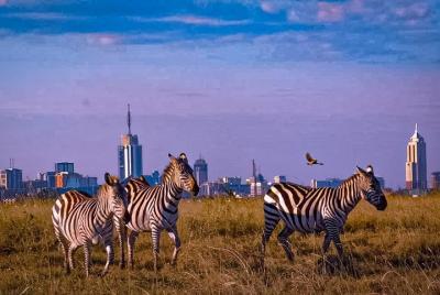 Nairobi National Park Half-Day Guided Tour -Guaranteed Daily Depa