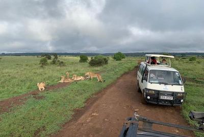 Nairobi national park game drive.