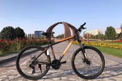 Private Half-Day Bishkek Bike Tour Private Half-Day Bishkek Bike Tour