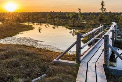 Sunrise Tour To Great Kemeri Bog