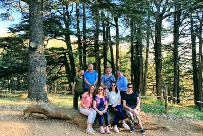 Full-Day Private Trip to Qadisha, Bcharri and Cedars of God from Beirut Full-Day Private Trip to Qadisha, Bcharri and Cedars of God from Beirut