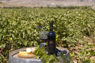 7-Day Lebanon Private Tour with Airport Pickup  7-Day Lebanon Private Tour with Airport Pickup