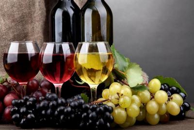 Superior Quality: The Bekaa Valey Wineries (full day) Superior Quality: The Bekaa Valey Wineries (full day)