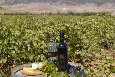 Private Wine Tasting Day Tour from Beirut Private Wine Tasting Day Tour from Beirut