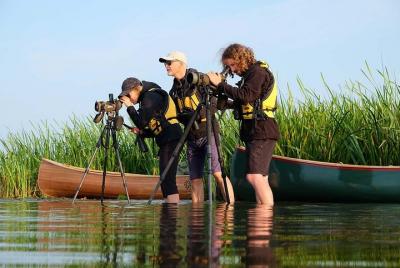 BIRDWATCH - Premium guided canoe tour at Cape Vente, Nemunas Delt