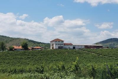 Private Wine Tour of Chateau Sopot Winery from Skopje Private Wine Tour of Chateau Sopot Winery from Skopje