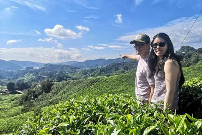 Cameron Highland Sightseeing Tour from Ipoh