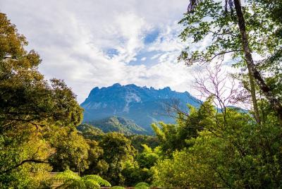 Day Tour From Kota Kinabalu: Mt. Kinabalu, Poring Hot Spring & Ca Day Tour From Kota Kinabalu: Mt. Kinabalu, Poring Hot Spring & Ca