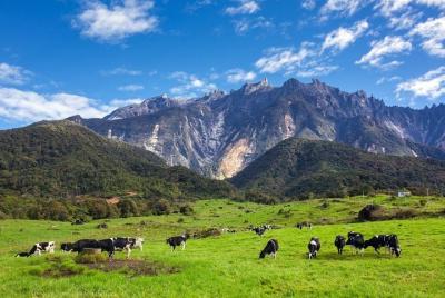 Malaysia Kinabalu Park Private Day Tour Malaysia Kinabalu Park Private Day Tour