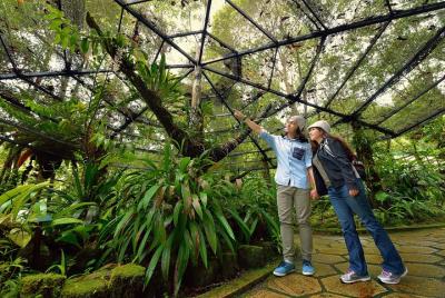 Full-Day Kinabalu Park and Poring Hot Spring Day Trip