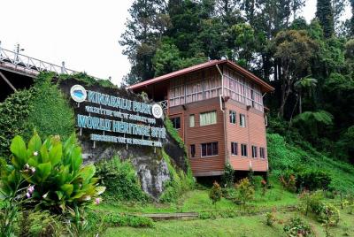 Private Full Day Kinabalu National Park Tour with Canopy Walk Inc
