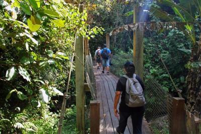 Kawang Forest Reserve Trekking