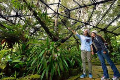 Kinabalu Park & Poring Hot Springs Tour