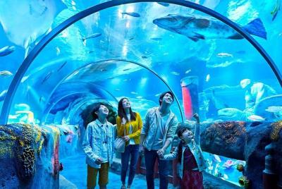 02 Days Combo Legoland Entrance Ticket ( Sea Life + Dry Park ) 02 Days Combo Legoland Entrance Ticket ( Sea Life + Dry Park )