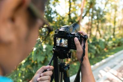 Kinabalu Park Bird Watching Day Tour
