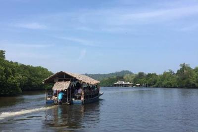 Kellybays Mangrove Cruise with Lunch