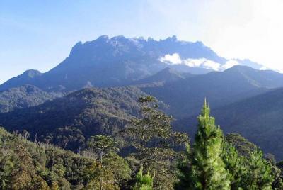 Kinabalu Park & Poring Hot Spring Tour Kinabalu Park & Poring Hot Spring Tour