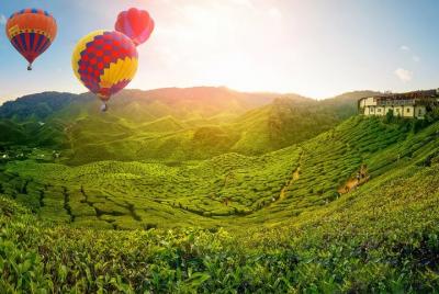 Kuala Besut Jetty to Cameron Highland One Way SIC Transfer