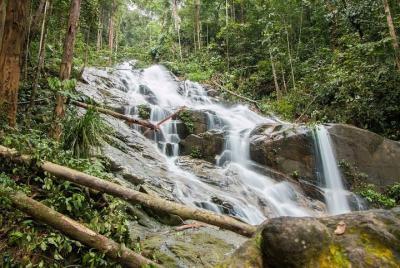 Templer’s Park Tour (SIC Tour) Templer’s Park Tour (SIC Tour)