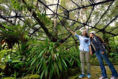 Kinabalu Park & Poring Hot Springs Tour from Kota Kinabalu