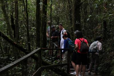 National (Kinabalu Park) & Poring Hotspring Tour
