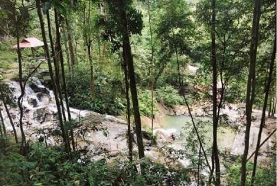 Tour To A Wonderful Waterfall In A Rainforest