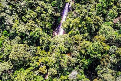 Untamed Serapi Backwood Connection 