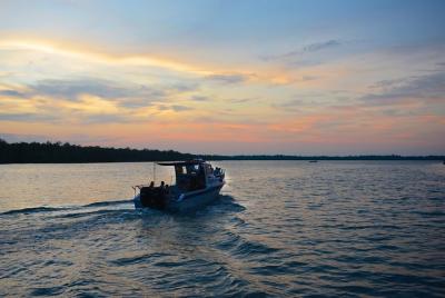 Mangrove & Irrawaddy Dolphin Watching Cruise from Kuching Mangrove & Irrawaddy Dolphin Watching Cruise from Kuching