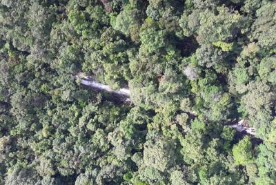 Pebble Rocks Waterfalls Chills
