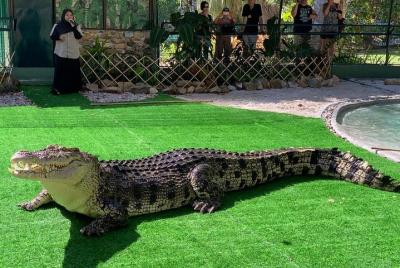 Crocodile Adventureland Langkawi Admission Ticket Crocodile Adventureland Langkawi Admission Ticket