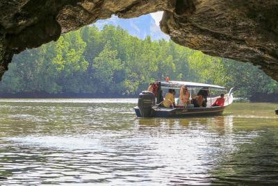 Langkawi Mangrove Kilim UNESCO Geopark and Cave Exploring Tour