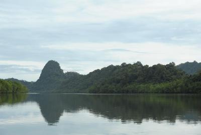 Mangrove River Cruise and Swimming Tour from Langkawi Mangrove River Cruise and Swimming Tour from Langkawi