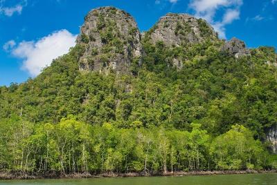 A Mangrove River Cruise on Langkawi A Mangrove River Cruise on Langkawi