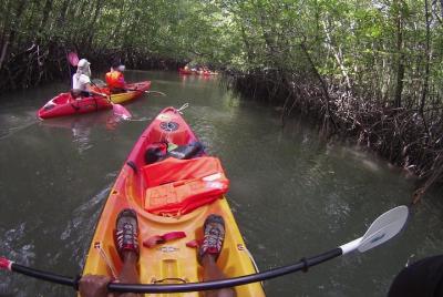 Langkawi Mangrove Kayaking Experience with Lunch