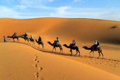 2 days shared group desert tour from marrakech