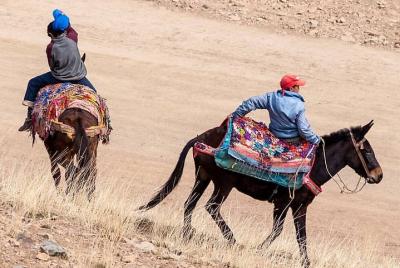 Atlas Mountains Private Day Trip Including lunch with Berber Fami Atlas Mountains Private Day Trip Including lunch with Berber Fami
