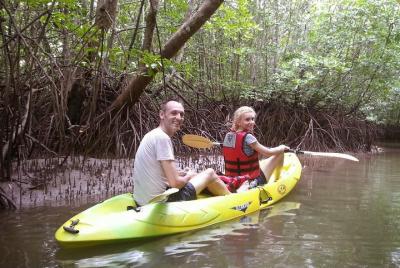Langkawi Mangrove Kayaking Tour
