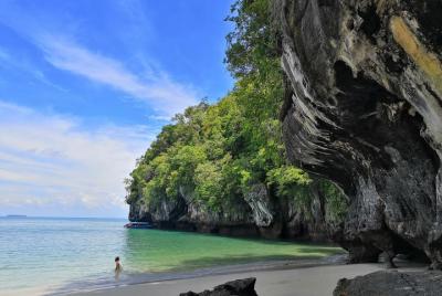 Langkawi Half Day Mangrove Tour - Sharing Basis  Langkawi Half Day Mangrove Tour - Sharing Basis