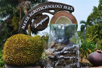 Private Sightseeing Tour (D - MARDI Agro Park) - experienced driv Private Sightseeing Tour (D - MARDI Agro Park) - experienced driv