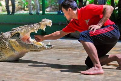 Crocodile Adventureland Admission Ticket