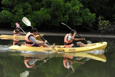 Mangrove Kayaking Tour from Langkawi